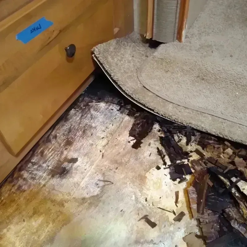 Wood Floor Water Damage in Anthem, AZ